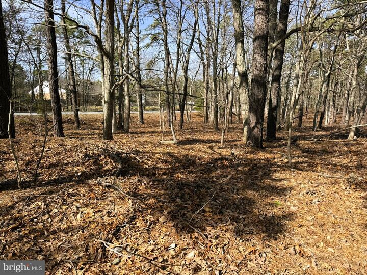 Property Photo:  3 Pinewood Drive  NJ 08087 