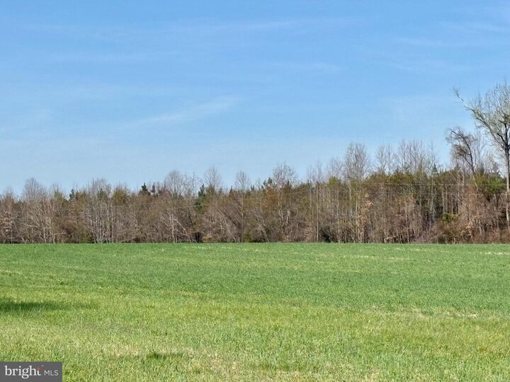 Property Photo:  23205 Carneal Lane  VA 22546 