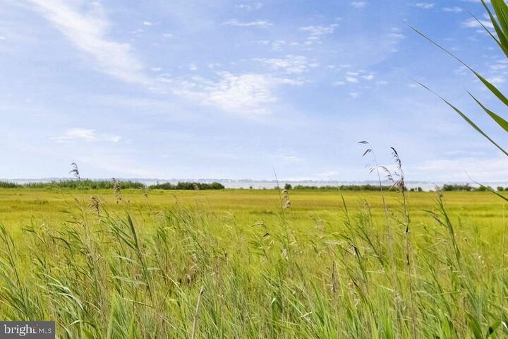 Property Photo:  Lot 43 Neptune Drive  VA 23356 