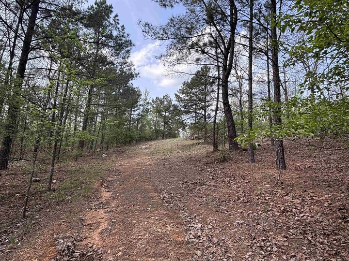 Property Photo:  00 Deer Creek Cove  AR 72120 