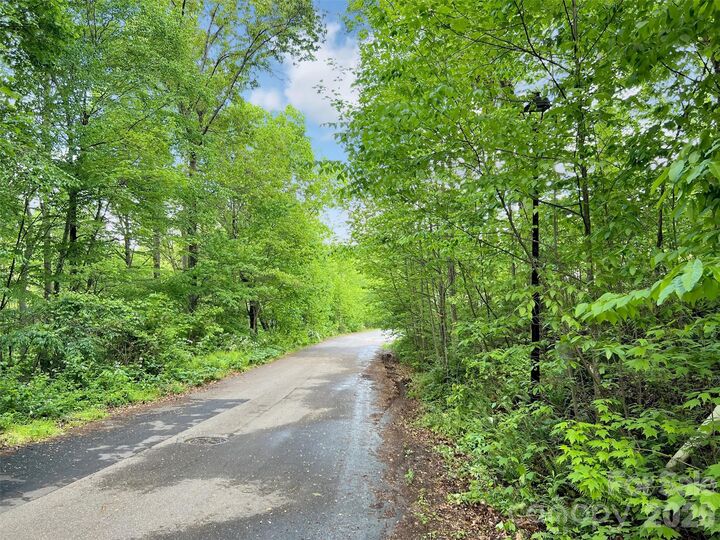 Property Photo:  L# 102 Hoosier Court 102  NC 28745 