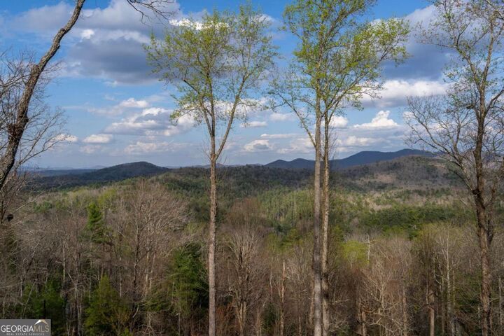 Property Photo:  967 River Bend Lane  GA 30513 