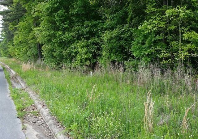 Property Photo:  1.64 Acres County Road 155  AL 35966 