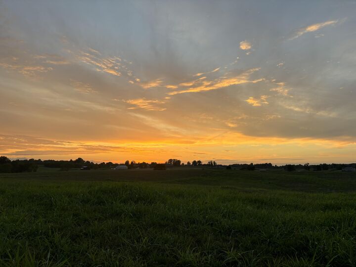 Property Photo:  385 Mills Lane  KY 40601 