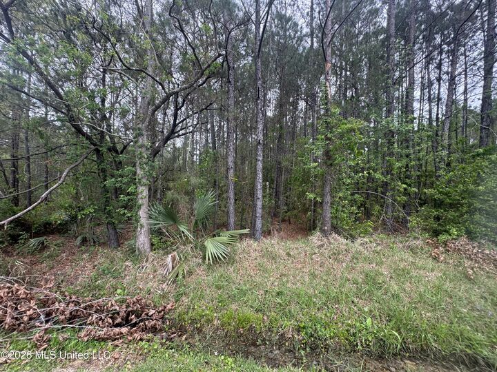 Property Photo:  Nsn 6&Amp7 Monroe Street  MS 39576 