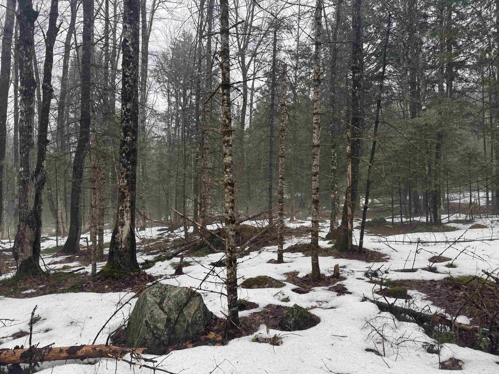 Property Photo:  3826 Leighton Hill Road  VT 05081 