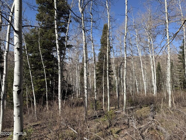 Property Photo:  5209 White Pine Circle  UT 84055 