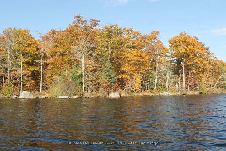 Property Photo: C280 Lower Buckhorn Lake N/A Lot 2 ON K0L 1J0