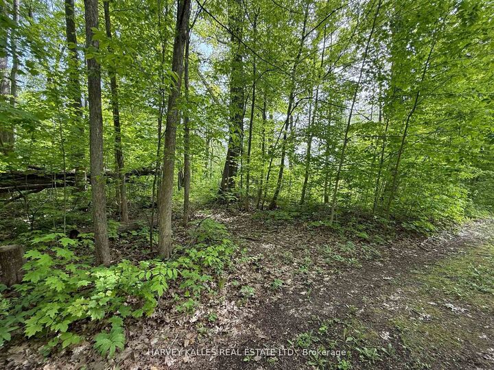 Property Photo:  0 Oakwood Lane  ON K0H 1G0 
