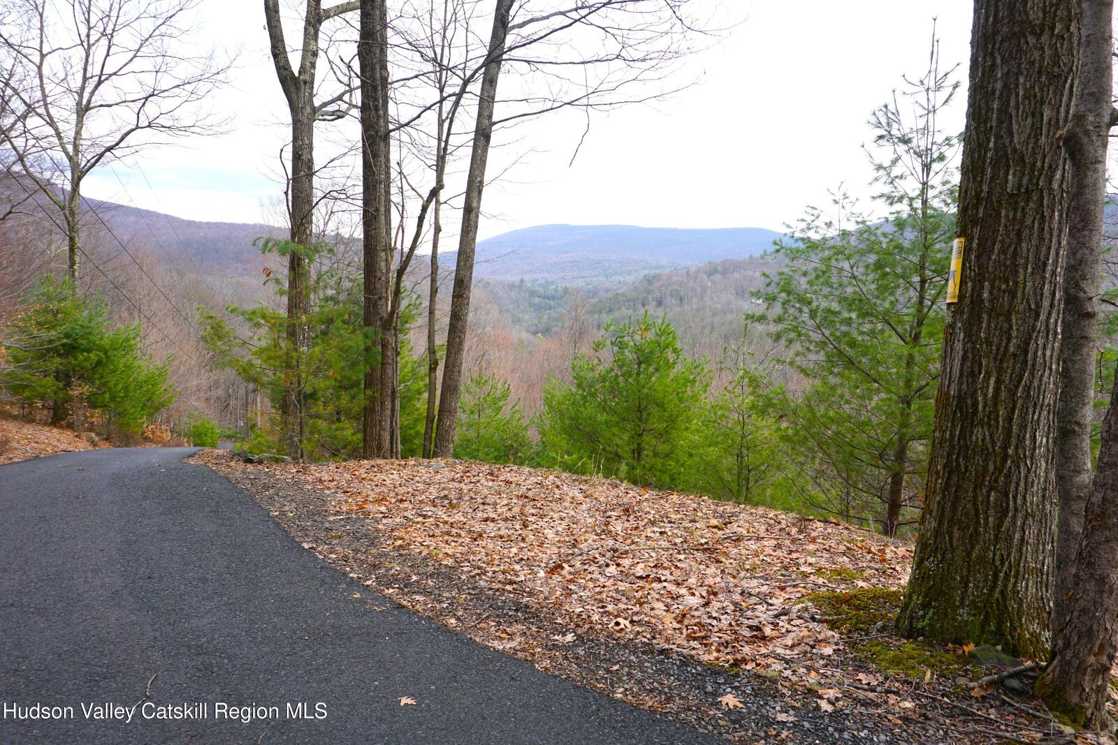 Property Photo:  20 Lion'S  NY 12409 