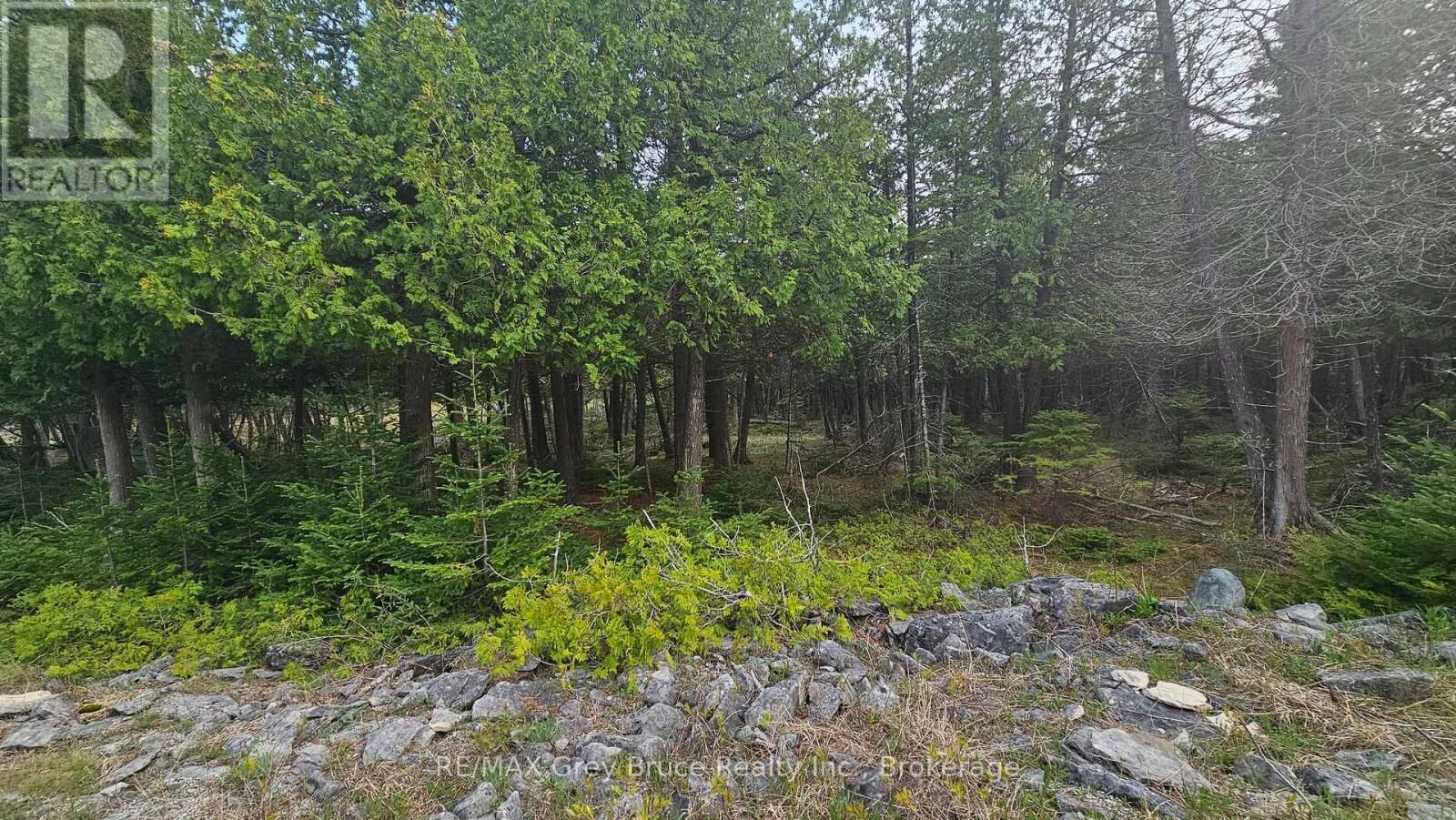Property Photo:  Lt 254 Dorcas Bay Road  ON N0H 2R0 