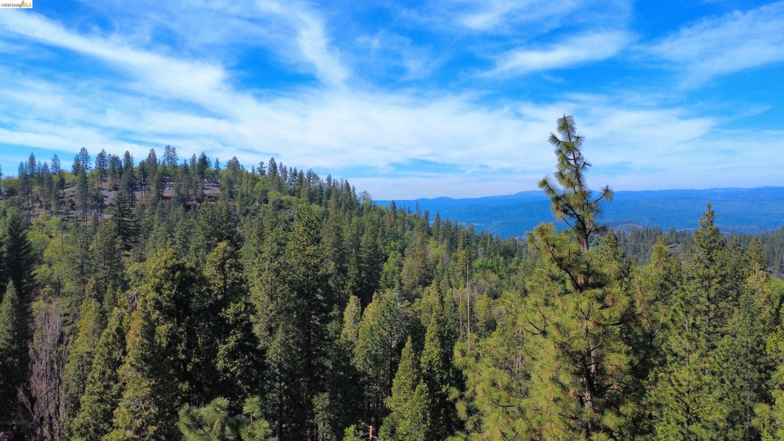 Property Photo:  15780 Old Oak Ranch Rd  CA 95370 