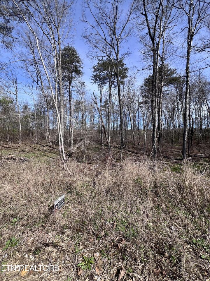 Property Photo:  0.51 Ac Lookout Drive  TN 38572 