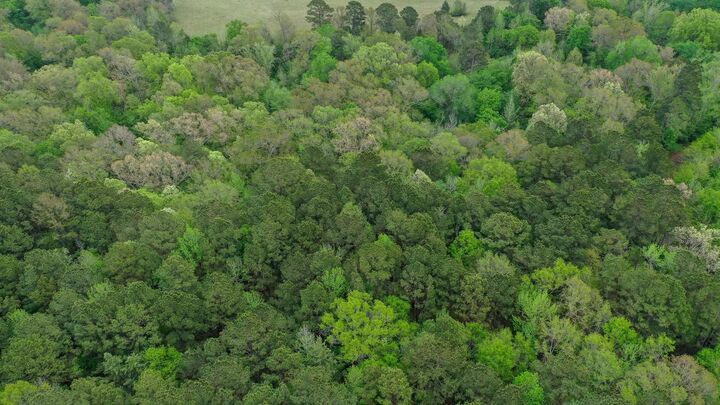 Property Photo:  0001 Cr 1628 Tract 1  TX 75563 