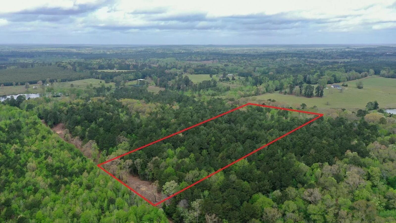 Property Photo:  0002 Cr 1628 Tract 2  TX 75563 