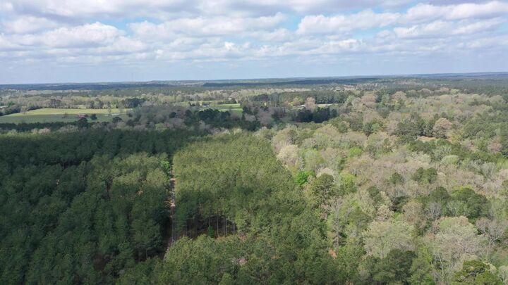 Property Photo:  0 County Road 1926  TX 75563 