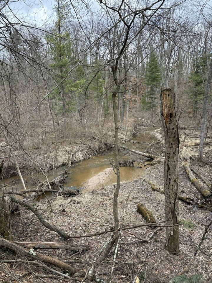 Property Photo:  0 Linderman Road  MI 49425 