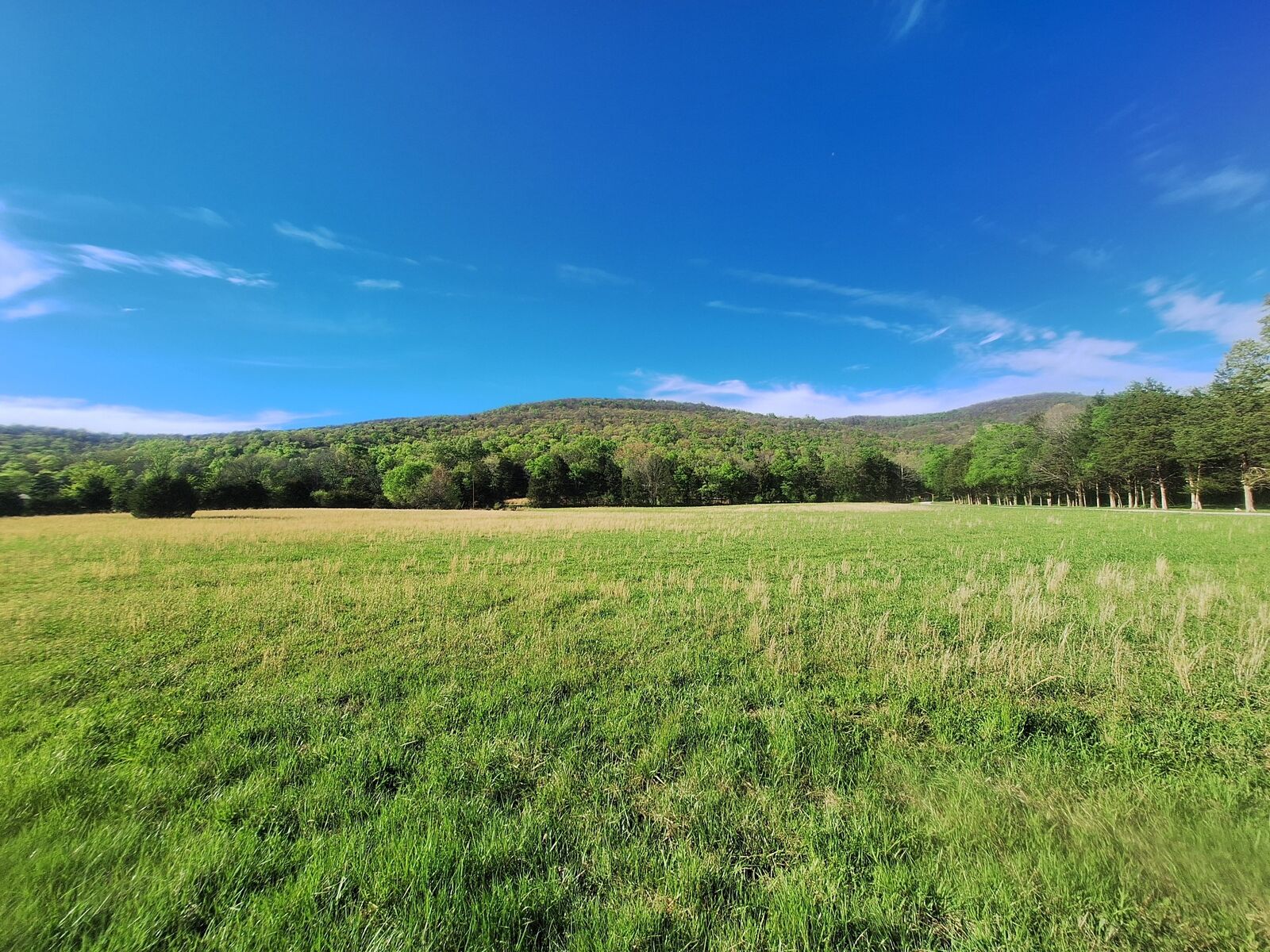 Property Photo:  0 Hawkins Cove Rd  TN 37318 