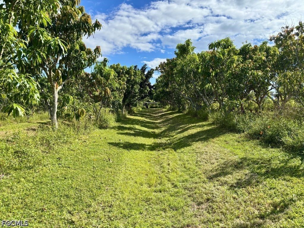 Property Photo:  6640 Sunrise Lane  FL 33922 