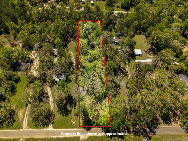 Property Photo:  442 County Road 514  TX 75961 