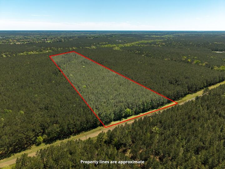 Property Photo:  L28379 Cr 403  TX 75972 