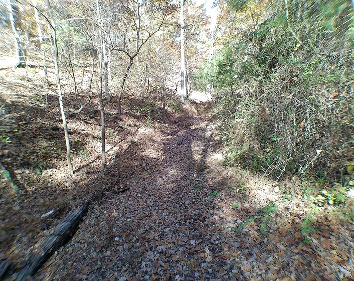 Property Photo: 19185 Highway 303 AR 72756