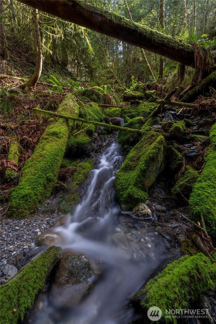 Property Photo: 861 Summerhill Drive WA 98284