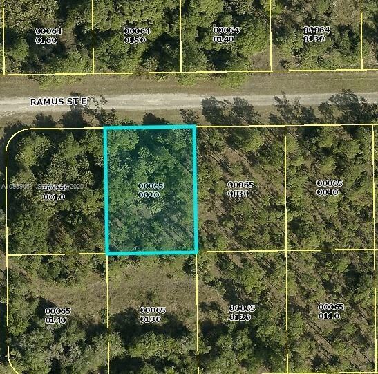 Property Photo: 1238 Ramus Street E FL 33974