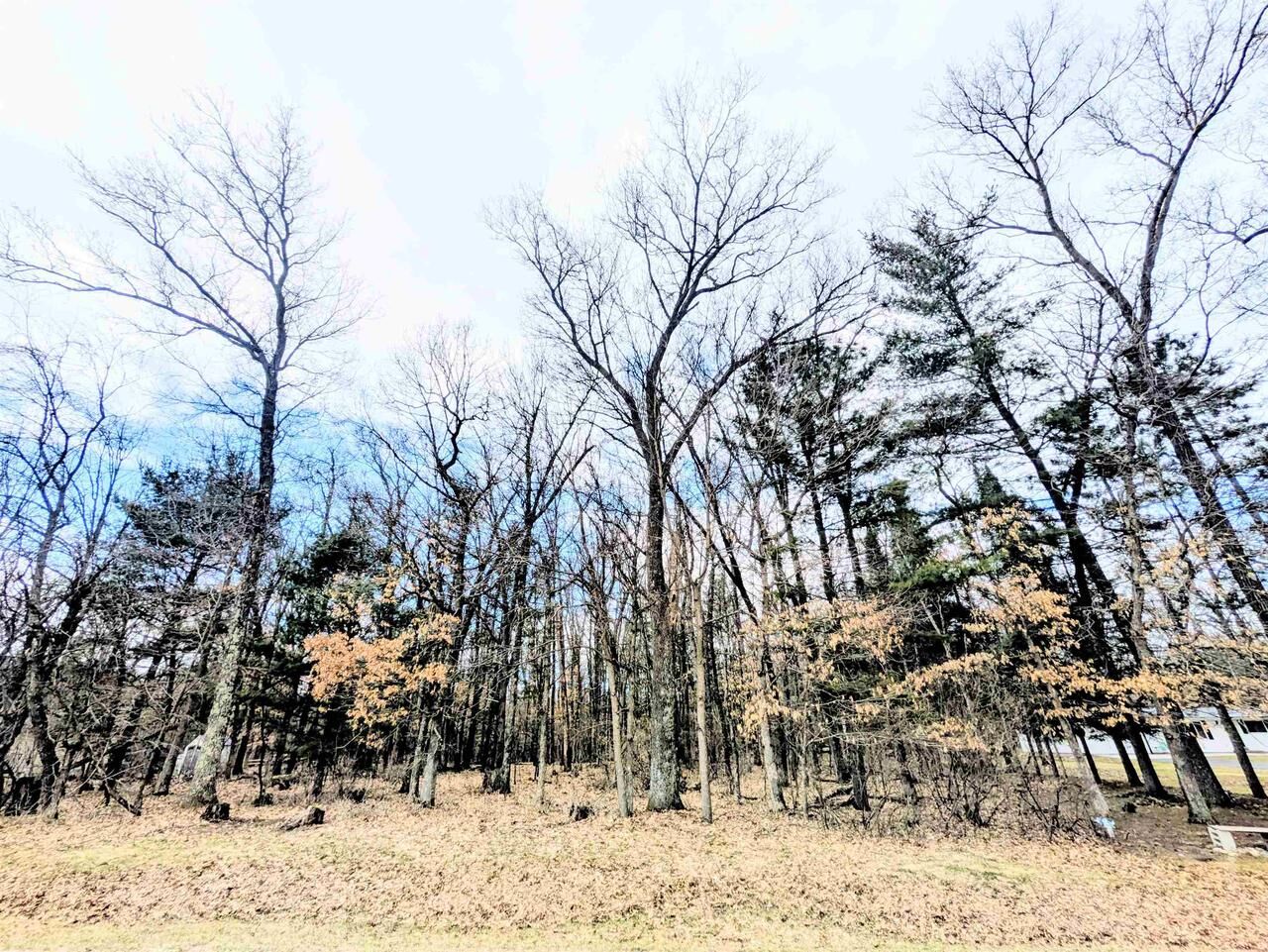 Property Photo:  0 11th Avenue  WI 53934 