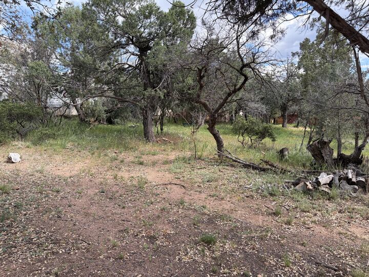 Property Photo:  503 E Juniper Street  AZ 85541 