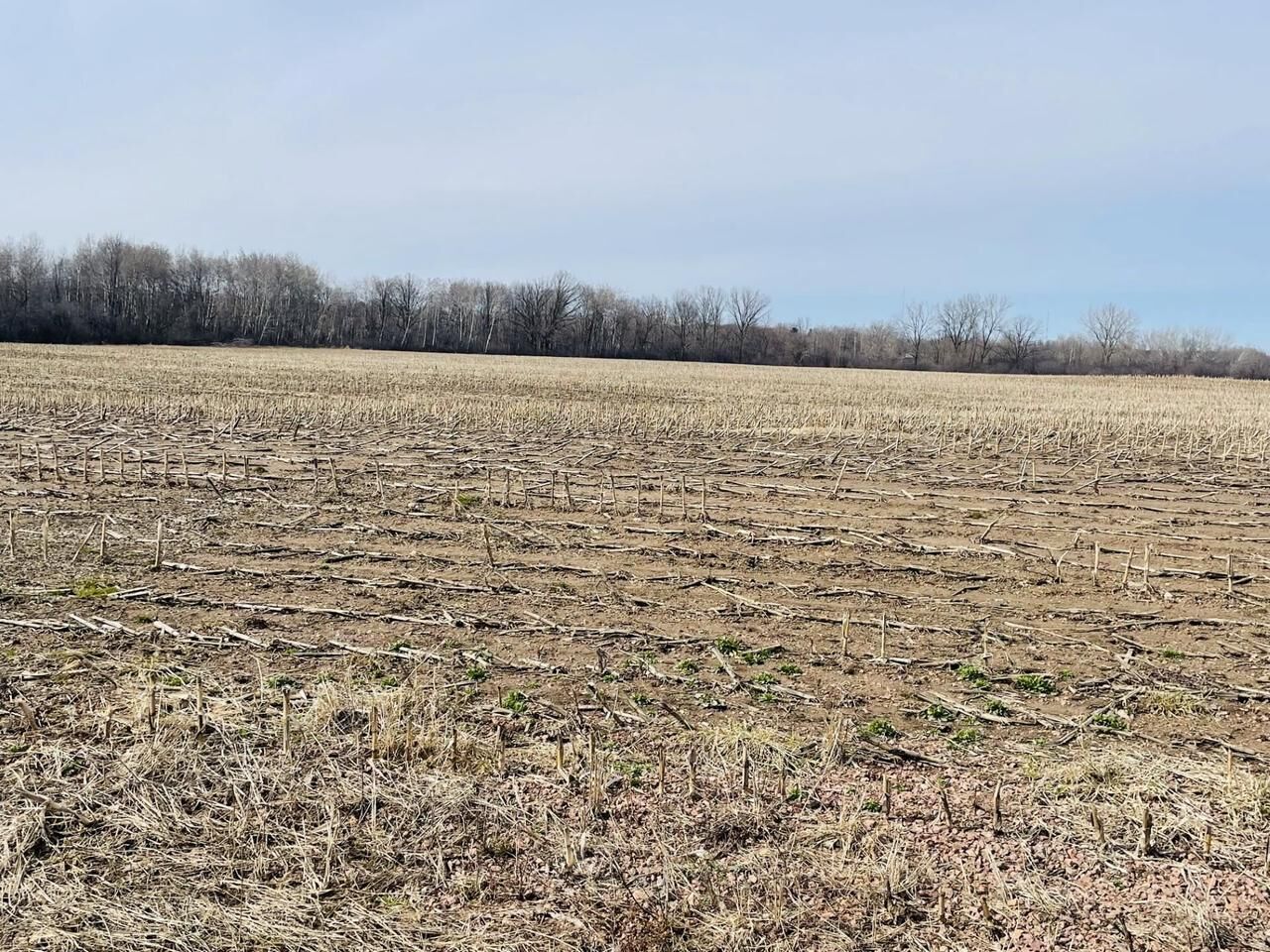 Property Photo: 20 Acres N Hume Avenue WI 54449