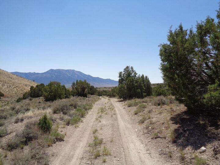 Property Photo:  010-35P-044 T38n R68e S35  NV 89830 