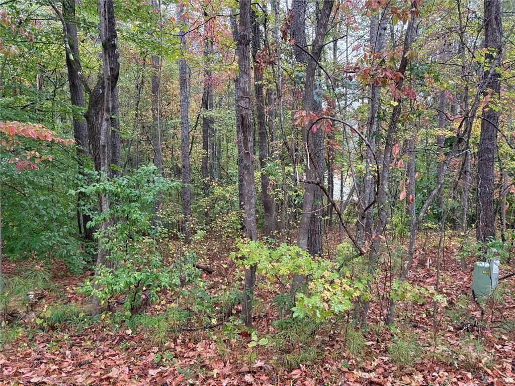 Property Photo:  2313 Larchmont Court  GA 30180 