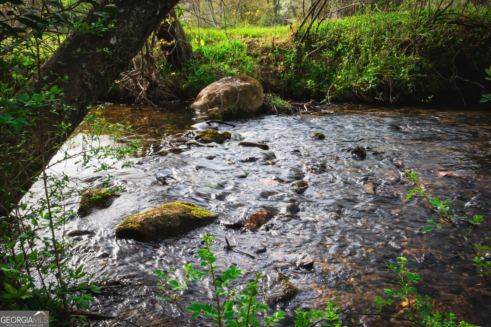 Property Photo: 742 Beaver Run Road 16 GA 30512