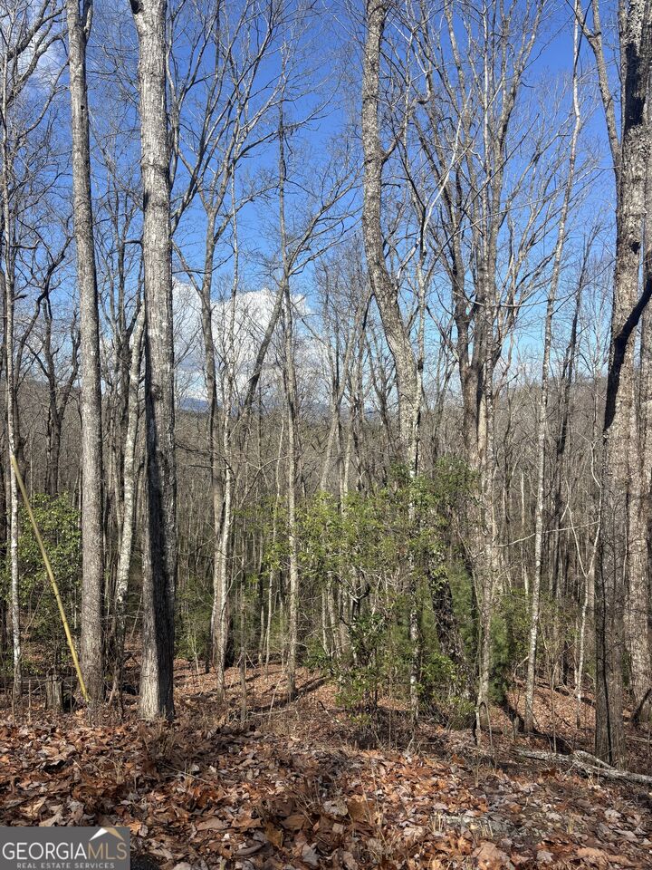 Property Photo:  L129/124 Laurel Crossing  GA 30513 