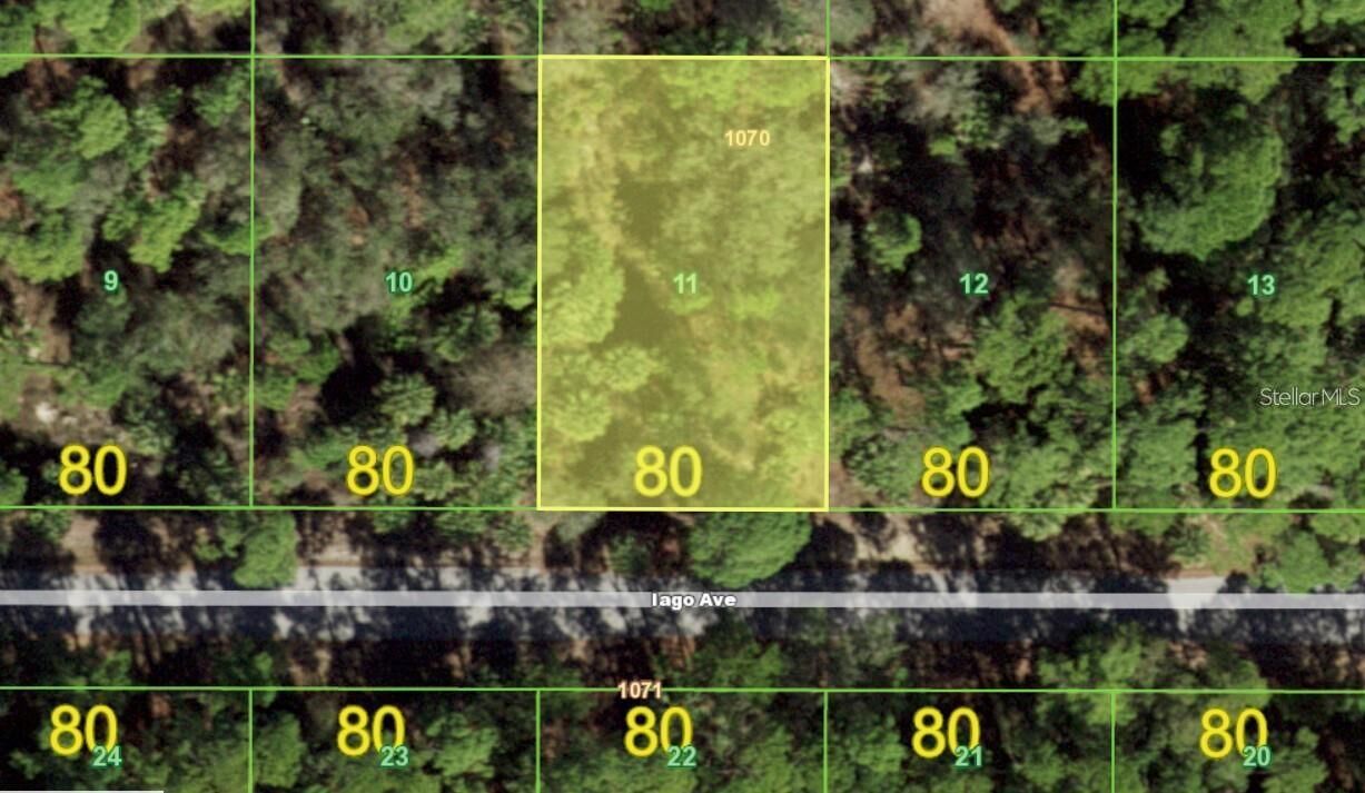 Property Photo: 17460 Iago Avenue FL 33954