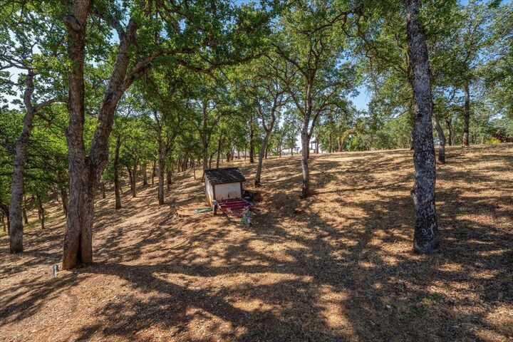 Property Photo:  21350 Wilcox Road  CA 96080 