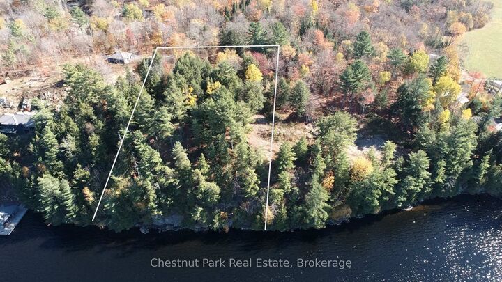 Property Photo: 536 Springfield Road ON P1H 0H9