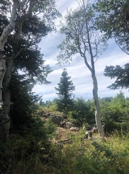 Property Photo:  245 N Whispering Pines Rd  UT 84767 