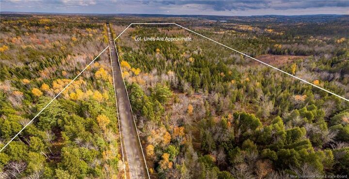 Land Route 3 — photo 1