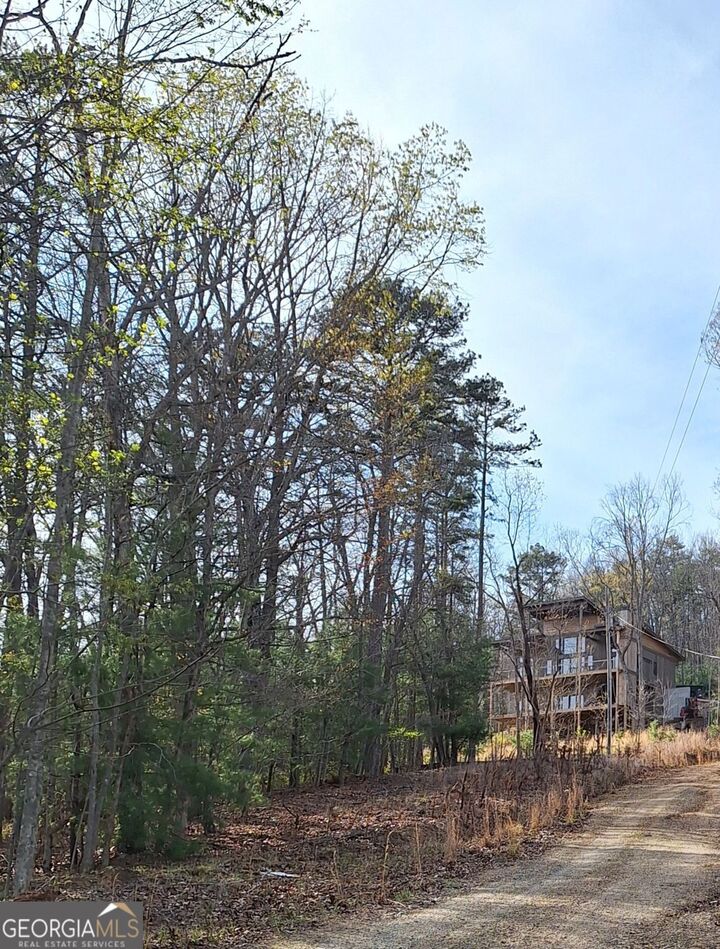 Property Photo:  0 Mull Lane Circle  GA 30560 