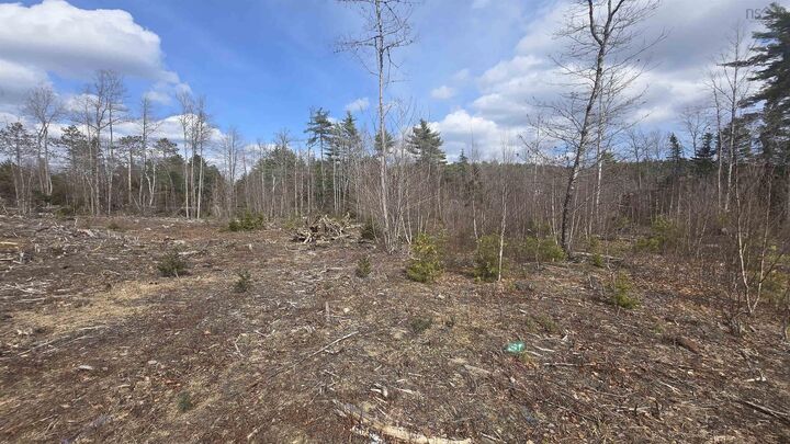Lot 25-1 Upper Branch Road — photo 1