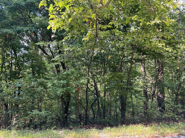 Property Photo:  89 Sunrise Avenue  AR 72631 