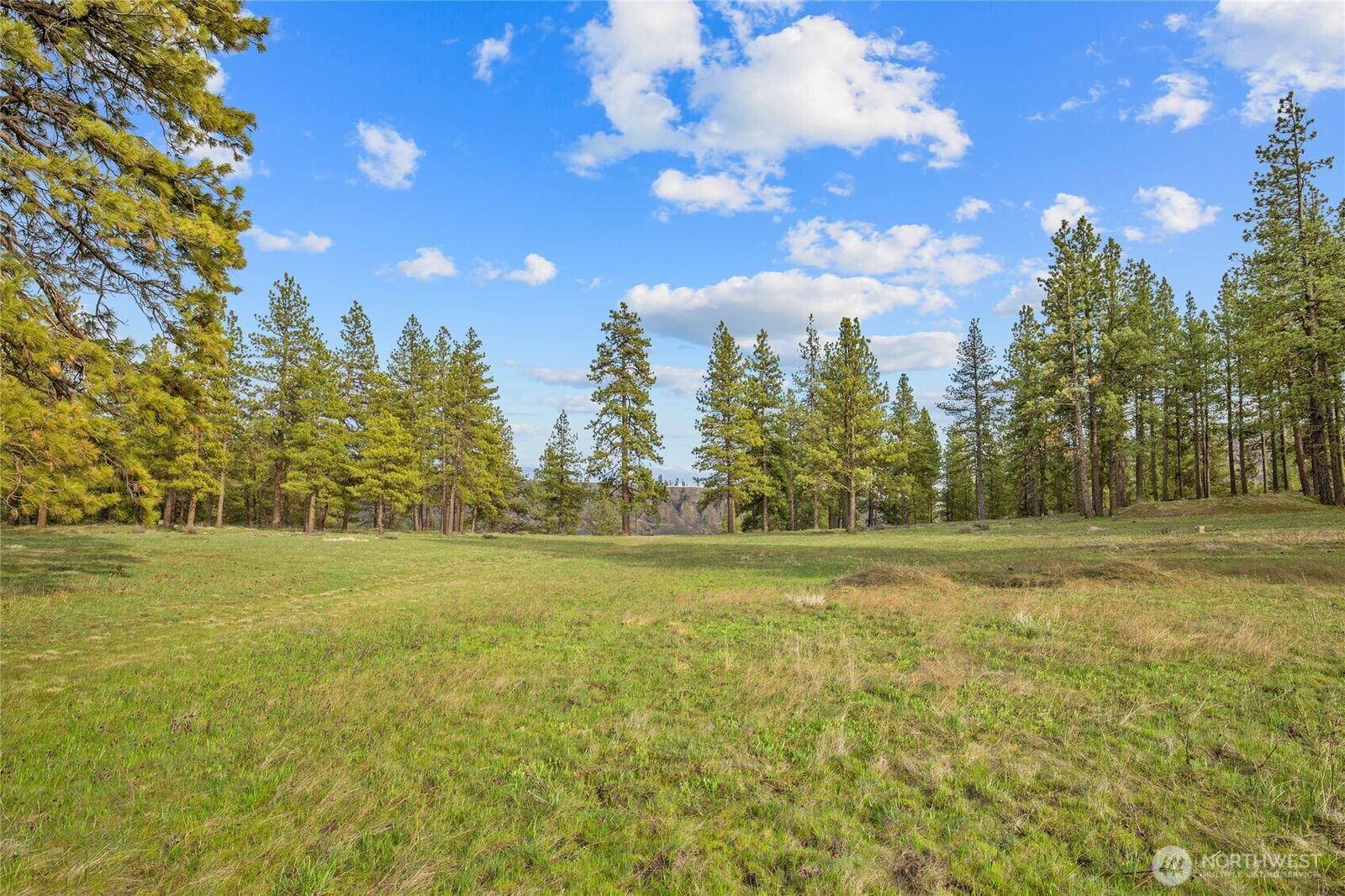 Property Photo:  297  Swauk Pines Road  WA 98922 