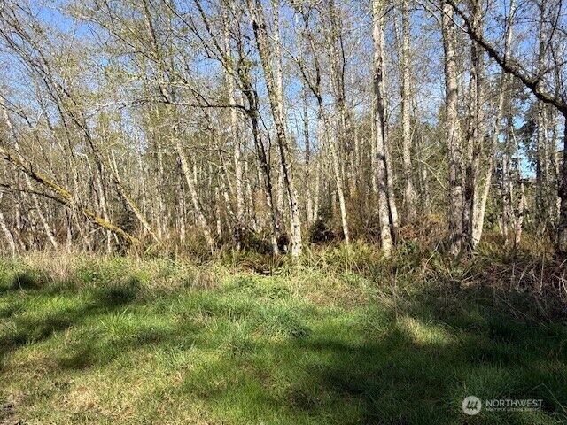 Property Photo:  0 Lot 2  Ander Park Road  WA 98249 