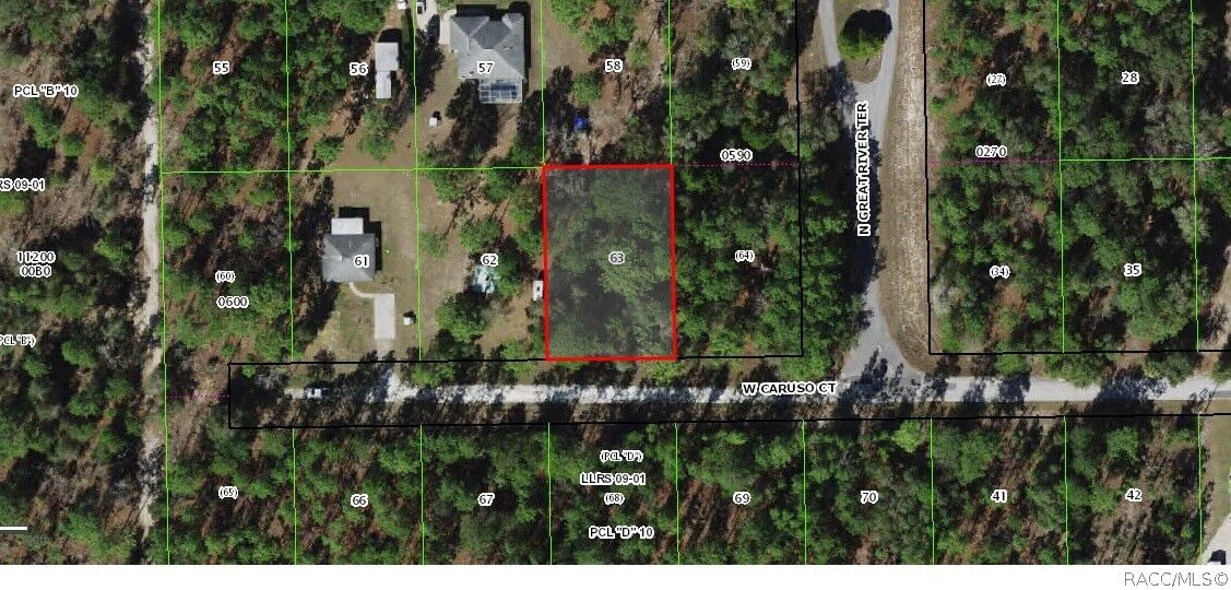 Property Photo:  6185 W Caruso Court  FL 34433 