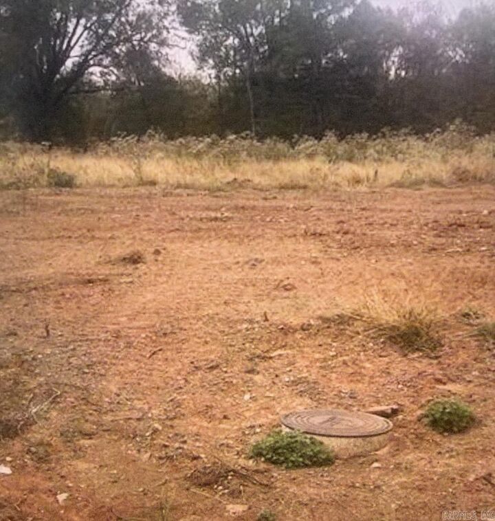 Property Photo:  601 Corondelet Lane  AR 72113 