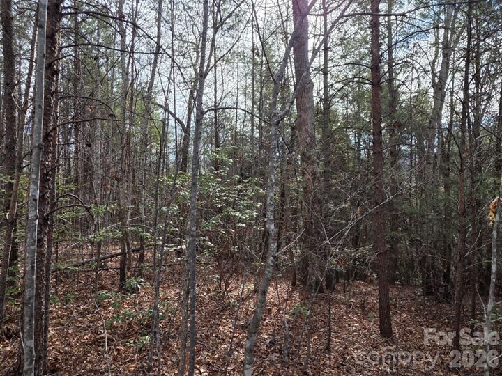 Property Photo:  Lot 10 Kerlee Lane  NC 28762 