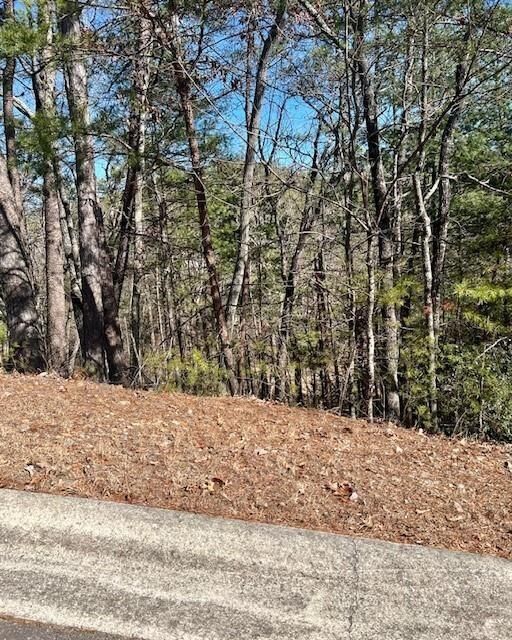 Property Photo: 0 Rosen Strasse GA 30545