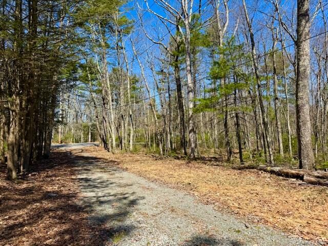 Property Photo:  42 Devlin Road  NY 12743 